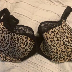 Cacique leopard print bra w lace